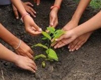 TN district to create world record by planting 6L tree saplings in 6 hrs | TN district to create world record by planting 6L tree saplings in 6 hrs