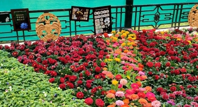 Iconic Bengaluru flower show postponed due to pandemic | Iconic Bengaluru flower show postponed due to pandemic