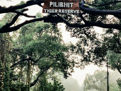 Garha-Lalpur corridor in PTR to be revamped | Garha-Lalpur corridor in PTR to be revamped Garha-Lalpur corridor in PTR to be revamped | Garha-Lalpur corridor in PTR to be revamped