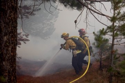 Caldor Fire in California surpasses 200,000 acres | Caldor Fire in California surpasses 200,000 acres