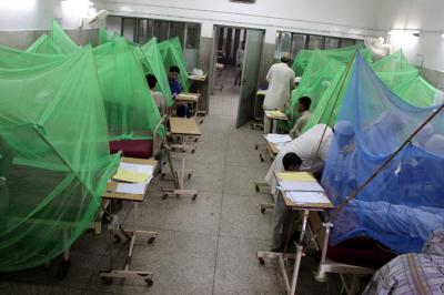 3 die of dengue in Karachi | 3 die of dengue in Karachi