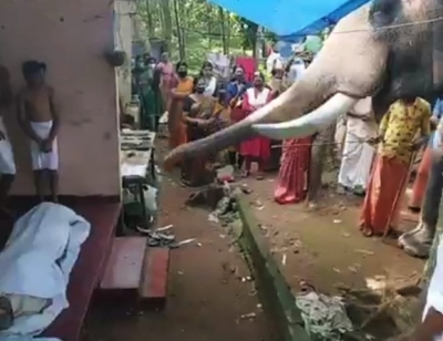 Video of elephant bidding farewell to dead Kerala Mahout goes viral | Video of elephant bidding farewell to dead Kerala Mahout goes viral