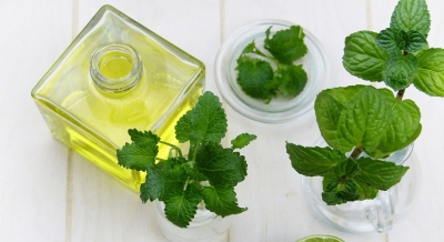 Clearing indoor pollutants with essential oils | Clearing indoor pollutants with essential oils Clearing indoor pollutants with essential oils | Clearing indoor pollutants with essential oils