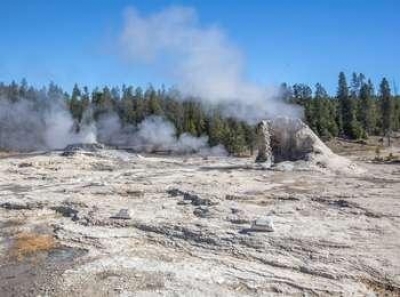 Bull bison gores visitor at US Yellowstone National Park | Bull bison gores visitor at US Yellowstone National Park