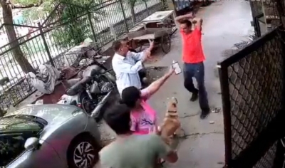 Angry over dog's barking, man attacks pet, its owner & 3 others in Delhi | Angry over dog's barking, man attacks pet, its owner & 3 others in Delhi