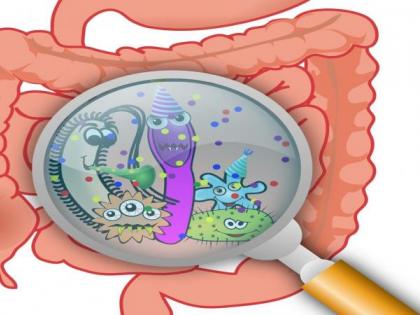 Gut bacteria linked to increased risk of severe malaria, finds study | Gut bacteria linked to increased risk of severe malaria, finds study