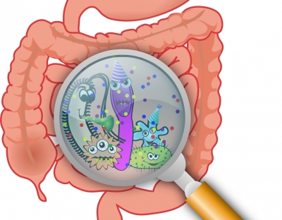 Common gut bacteria can make diabetes, cancer drugs less effective: Study | Common gut bacteria can make diabetes, cancer drugs less effective: Study Common gut bacteria can make diabetes, cancer drugs less effective: Study | Common gut bacteria can make diabetes, cancer drugs less effective: Study