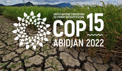 Draft report on Desertification and drought to be discussed at COP15 | Draft report on Desertification and drought to be discussed at COP15