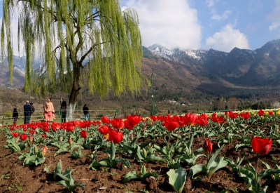 Mainly clear, partly cloudy weather likely in J&K | Mainly clear, partly cloudy weather likely in J&K