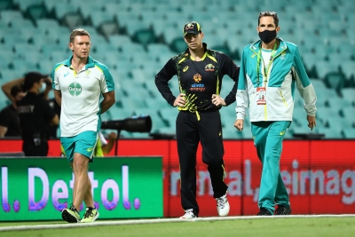 Mark Taylor calls for fence boundary to make a comeback after Smith concussion | Mark Taylor calls for fence boundary to make a comeback after Smith concussion