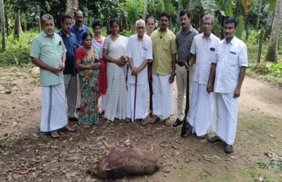 Do wild boar in Kerala get to live? Panchayats get the power to decide | Do wild boar in Kerala get to live? Panchayats get the power to decide