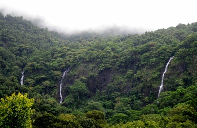 Bombay HC stays laying of permanent road to landmark Goa waterfall | Bombay HC stays laying of permanent road to landmark Goa waterfall