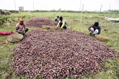 Centre bans onion export to control domestic prices | Centre bans onion export to control domestic prices