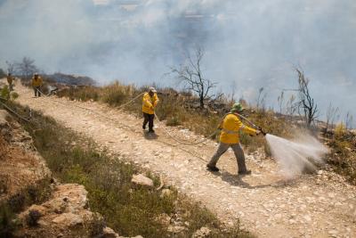 Thousands evacuated due to massive wildfire in Jerusalem | Thousands evacuated due to massive wildfire in Jerusalem