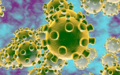 IISc researchers find Covid protein that blocks immunity | IISc researchers find Covid protein that blocks immunity IISc researchers find Covid protein that blocks immunity | IISc researchers find Covid protein that blocks immunity