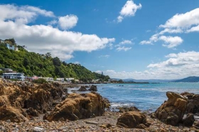 New Zealand uses satellite images to track coastal health | New Zealand uses satellite images to track coastal health