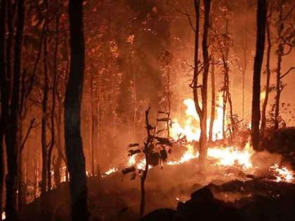 After drawing flak, Goa govt to use drones to prevent forest fire | After drawing flak, Goa govt to use drones to prevent forest fire