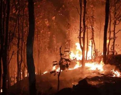 TN reported 217 forest fires since Feb 1; Kodaikanal, Vellore top chart | TN reported 217 forest fires since Feb 1; Kodaikanal, Vellore top chart
