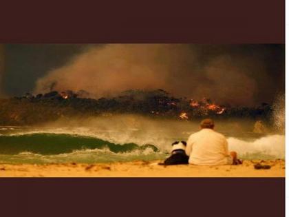 David Warner shares emotional message on bushfires | David Warner shares emotional message on bushfires