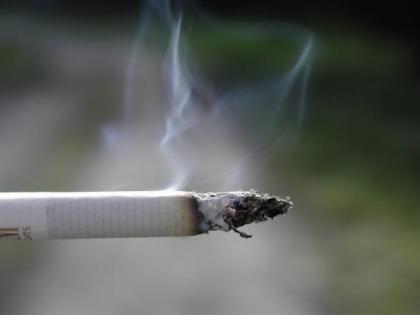 Plastic pollution from cigarettes costs $26 bn a year globally: Study | Plastic pollution from cigarettes costs $26 bn a year globally: Study Plastic pollution from cigarettes costs $26 bn a year globally: Study | Plastic pollution from cigarettes costs $26 bn a year globally: Study