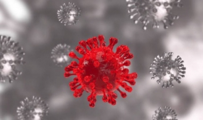 New Covid variant: Genome sequencing of positive cases to be done in Rajasthan | New Covid variant: Genome sequencing of positive cases to be done in Rajasthan New Covid variant: Genome sequencing of positive cases to be done in Rajasthan | New Covid variant: Genome sequencing of positive cases to be done in Rajasthan