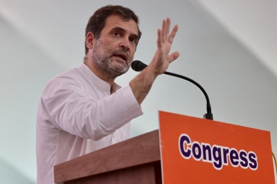 Seniority does not guarantee party ticket: Rahul Gandhi | Seniority does not guarantee party ticket: Rahul Gandhi