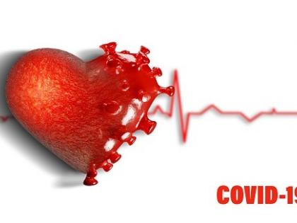 Researchers find Covid causes mitochondrial dysfunction in heart, other organs | Researchers find Covid causes mitochondrial dysfunction in heart, other organs Researchers find Covid causes mitochondrial dysfunction in heart, other organs | Researchers find Covid causes mitochondrial dysfunction in heart, other organs