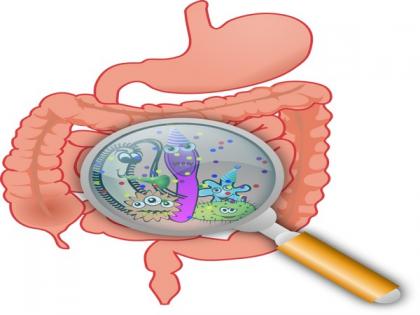 Study reveals people with inflammatory bowel disease die earlier despite increase in life expectancy | Study reveals people with inflammatory bowel disease die earlier despite increase in life expectancy Study reveals people with inflammatory bowel disease die earlier despite increase in life expectancy | Study reveals people with inflammatory bowel disease die earlier despite increase in life expectancy