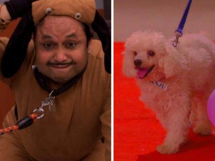 Cynophobic Happu Singh gets a furry friend in 'Happu Ki Ultan Paltan' | Cynophobic Happu Singh gets a furry friend in 'Happu Ki Ultan Paltan' Cynophobic Happu Singh gets a furry friend in 'Happu Ki Ultan Paltan' | Cynophobic Happu Singh gets a furry friend in 'Happu Ki Ultan Paltan'
