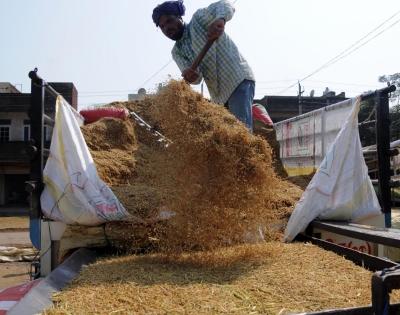 TRS to intensify protest against Centre over paddy | TRS to intensify protest against Centre over paddy