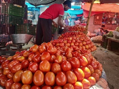 Tomatoes selling below Re 1 per kg in Delhi wholesale markets | Tomatoes selling below Re 1 per kg in Delhi wholesale markets
