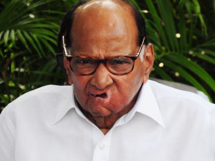 Impact of Rahul Gandhi's Bharat Jodo Yatra evident in Karnataka results: Pawar | Impact of Rahul Gandhi's Bharat Jodo Yatra evident in Karnataka results: Pawar