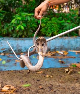 20 reptiles rescued from Delhi-NCR in 72 hours | 20 reptiles rescued from Delhi-NCR in 72 hours