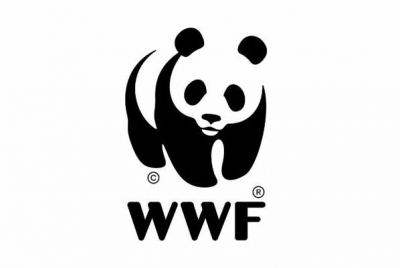 Need stronger policies for cleantech SMEs, startups: WWF India | Need stronger policies for cleantech SMEs, startups: WWF India