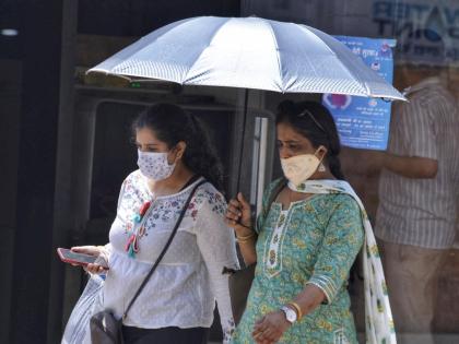 Deadly 2023 heatwave to become the norm in coming years: Study | Deadly 2023 heatwave to become the norm in coming years: Study