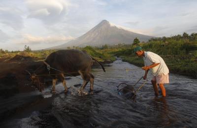 Philippines declares food security emergency to tame soaring rice prices | Philippines declares food security emergency to tame soaring rice prices Philippines declares food security emergency to tame soaring rice prices | Philippines declares food security emergency to tame soaring rice prices