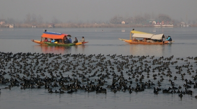 Kashmir's romance with 4 lakh migratory birds | Kashmir's romance with 4 lakh migratory birds