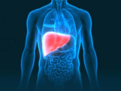 Gene therapy offers potential new treatment for liver cancer | Gene therapy offers potential new treatment for liver cancer
