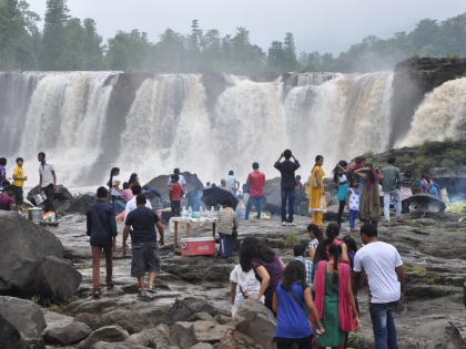 Goa prohibits entry to wildlife sanctuaries, waterfalls | Goa prohibits entry to wildlife sanctuaries, waterfalls