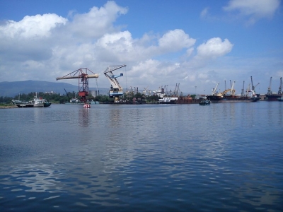 Vizag Port denies report of any tiger attack | Vizag Port denies report of any tiger attack