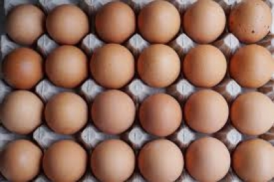 Five held for stealing eggs worth Rs 5.5 lakhs | Five held for stealing eggs worth Rs 5.5 lakhs Five held for stealing eggs worth Rs 5.5 lakhs | Five held for stealing eggs worth Rs 5.5 lakhs