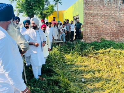 Punjab CM asks MLAs to expedite wheat crop loss relief | Punjab CM asks MLAs to expedite wheat crop loss relief