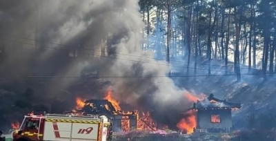 S.Korean Prez designates wildfire-hit area as special disaster zone | S.Korean Prez designates wildfire-hit area as special disaster zone