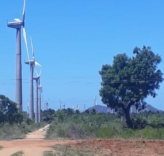India’s wind energy capacity rises to 51.67 GW, Gujarat, TN & Karnataka lead | India’s wind energy capacity rises to 51.67 GW, Gujarat, TN & Karnataka lead