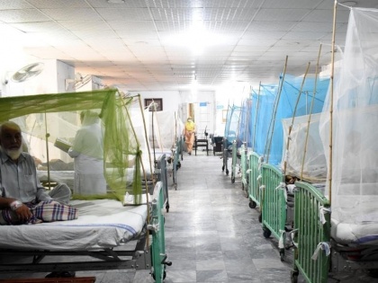 Deadly dengue reaches epidemic proportion in SL | Deadly dengue reaches epidemic proportion in SL