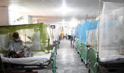 Pakistan: Dengue cases rise in Rawalpindi after heavy rains | Pakistan: Dengue cases rise in Rawalpindi after heavy rains