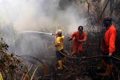 Japan: One person dies, over 170 buildings damaged after fire erupts in Oita | Japan: One person dies, over 170 buildings damaged after fire erupts in Oita