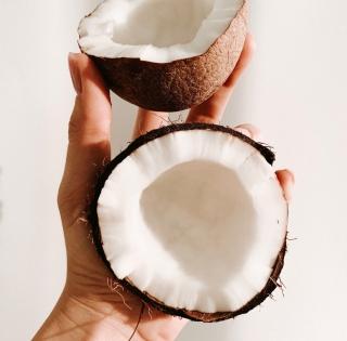 Can't interfere in how to conduct 'puja', break a coconut: SC | Can't interfere in how to conduct 'puja', break a coconut: SC Can't interfere in how to conduct 'puja', break a coconut: SC | Can't interfere in how to conduct 'puja', break a coconut: SC