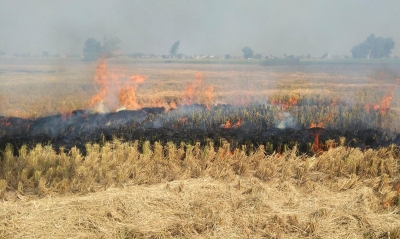 PIL in SC seeks ban on stubble burning in view of Covid-19 | PIL in SC seeks ban on stubble burning in view of Covid-19