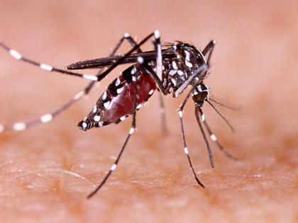 Surge in fever cases in Lucknow; dengue, typhoid on the rise | Surge in fever cases in Lucknow; dengue, typhoid on the rise
